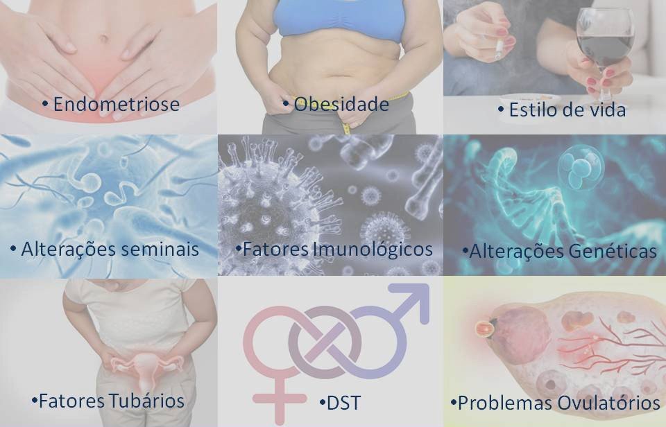 Fatores para fertilidade feminina decair com os anos