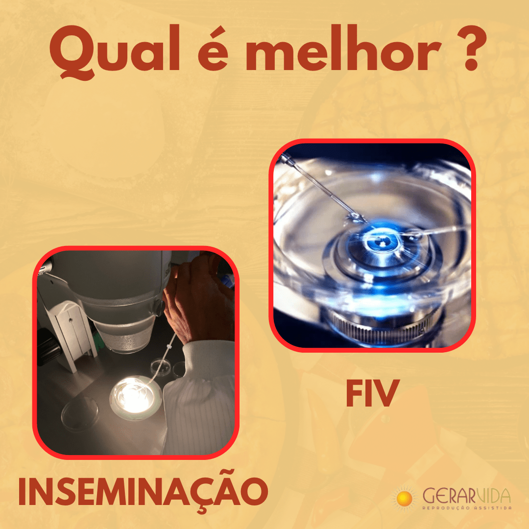 Fertilização in vitro (FIV)